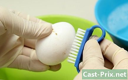 Cara membersihkan kulit telur