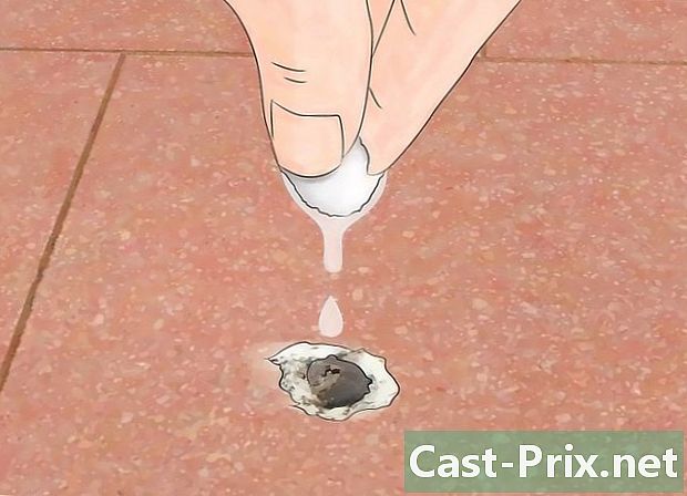 پرندوں کے فضلہ کو کیسے صاف کریں