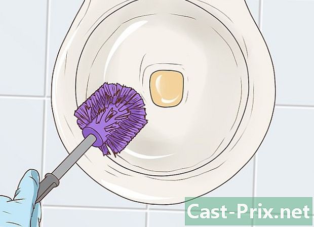 Hur man rengör fläckarna på toaletter - Guider