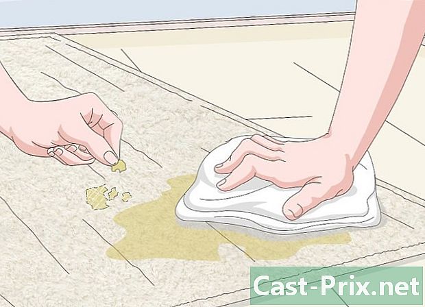 Ako vyčistiť vlnený koberec - Vodítka