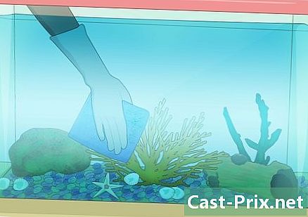Jak čistit rybí akvárium - Vodítka