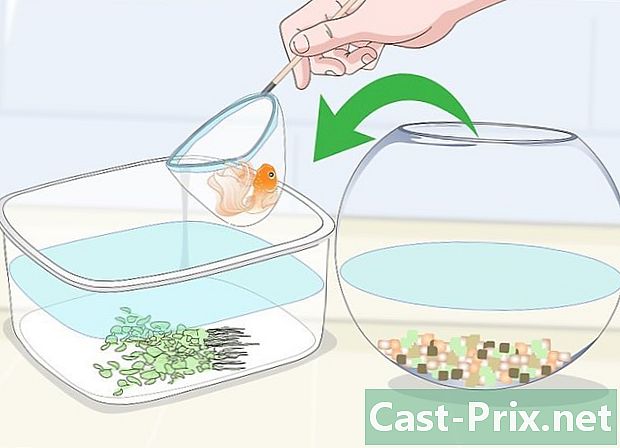 Ako vyčistiť misku na ryby