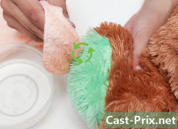 Bir oyuncak ayı nasıl temizlenir