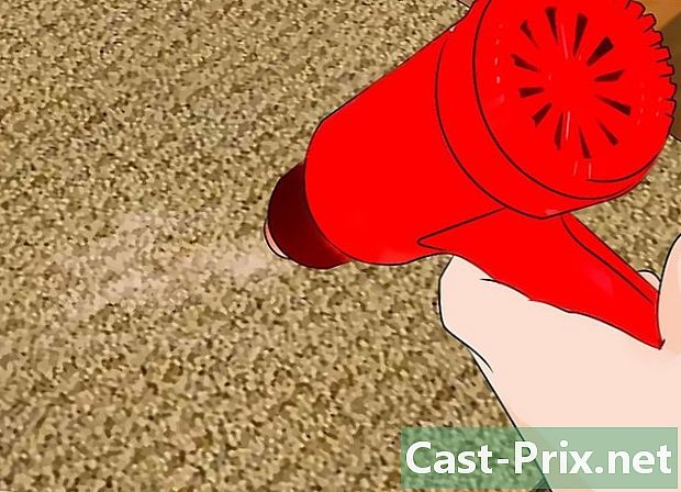 Làm thế nào để làm sạch một tấm thảm đay - HướNg DẫN