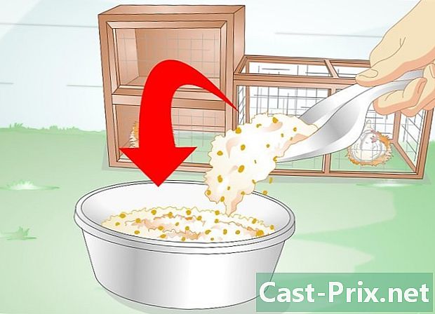 産卵鶏への給餌方法