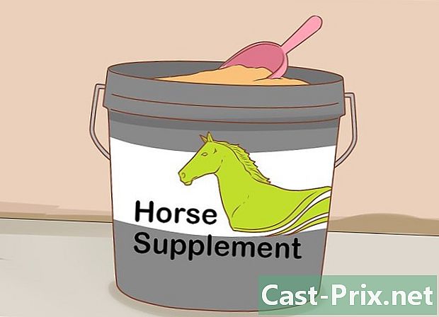 Wie man sein Pferd füttert - Führungen