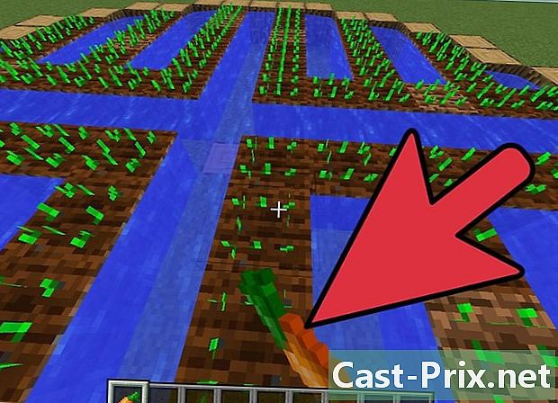 Hogyan készítsünk sárgarépát a Minecraft-ba - Útmutatók