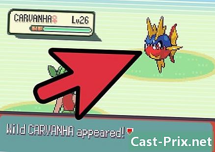 Hur man fiskar i Pokémon Emerald - Guider