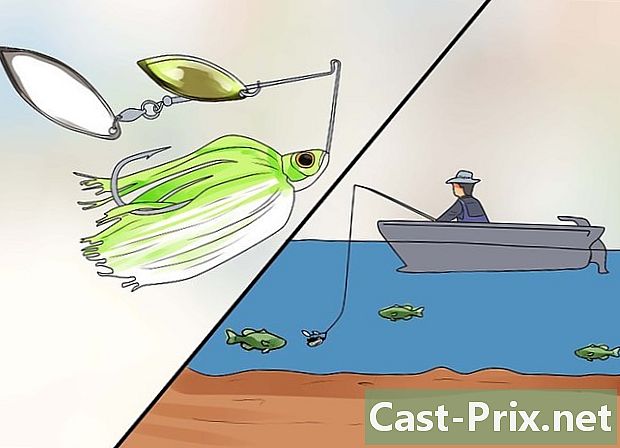 कैसे मछली perches करने के लिए