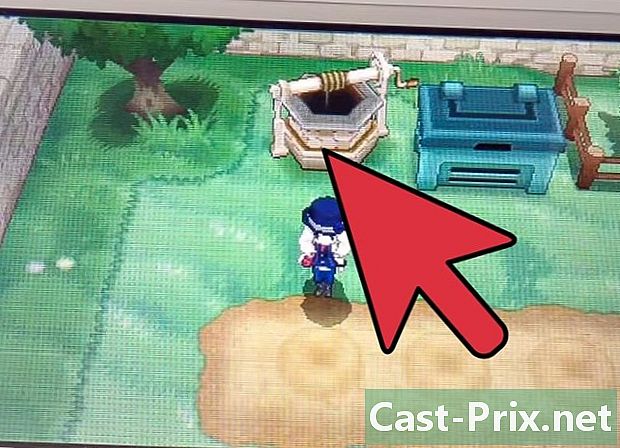 Πώς να φυτέψετε τα μούρα στο Pokémon X και Y - Οδηγοί