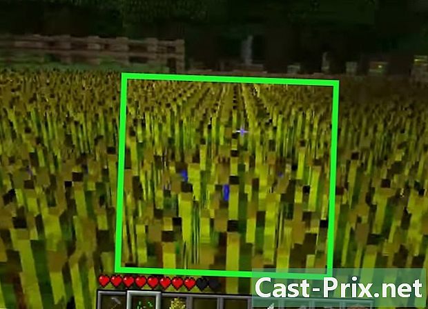Cách gieo hạt trong Minecraft - HướNg DẫN