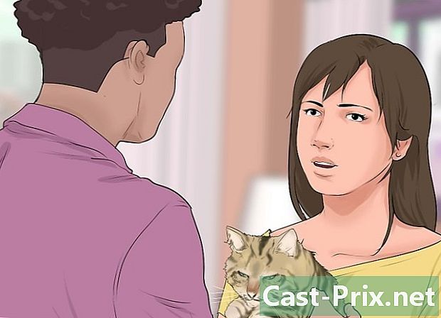 Jak dát dlahu své kočce - Vodítka