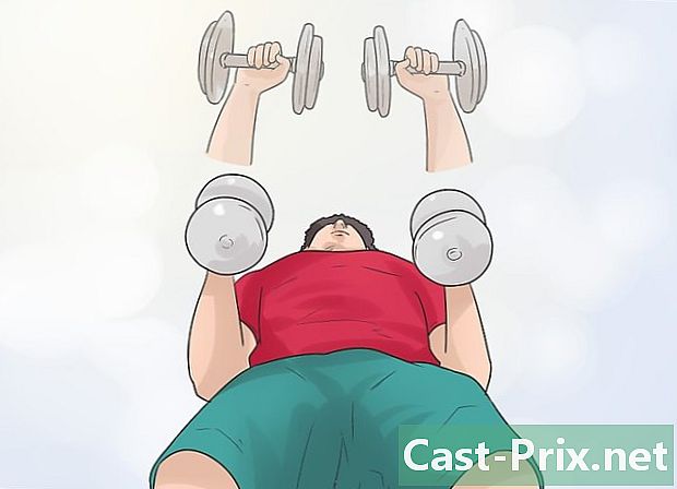 Wie man schnell Muskeln aufnimmt