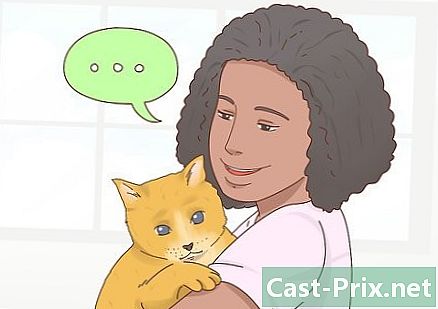 Come prendersi cura di un gatto cieco