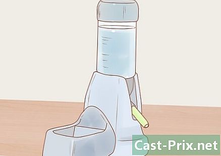 Jak se starat o trpasličího křečka - Vodítka