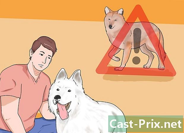 Jak chronić swoją własność obozową lub kojotową