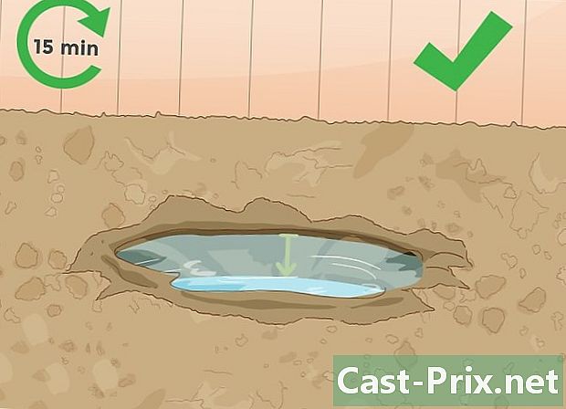 كيفية تحضير التربة للورود