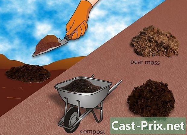 Πώς να προετοιμάσετε το έδαφος για τα φυτά τομάτας