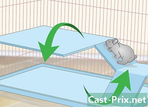 Bir tavşan kafesi nasıl hazırlanır