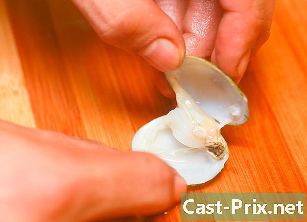 Hur man förbereder en musselsoppa - Guider