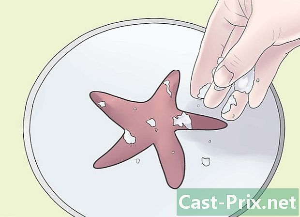 Cómo preservar una estrella de mar para hacer una decoración - Guías