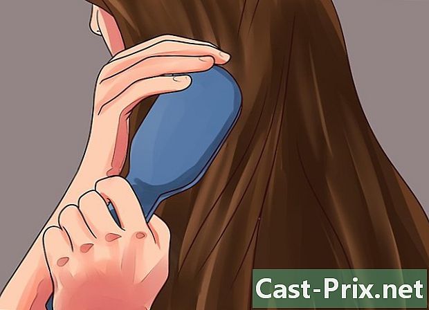 Ako zabrániť krehkým vlasom - Vodítka