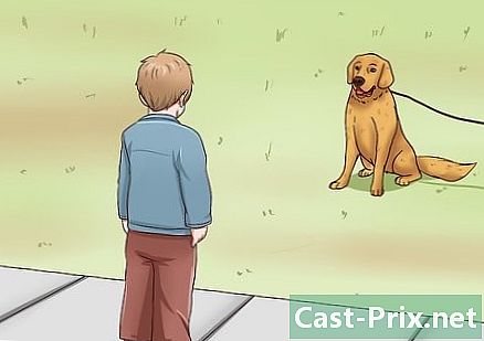 Hur man förhindrar en hundbett - Guider