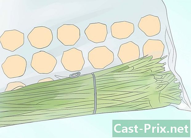 Come raccogliere l'erba cipollina - Guide