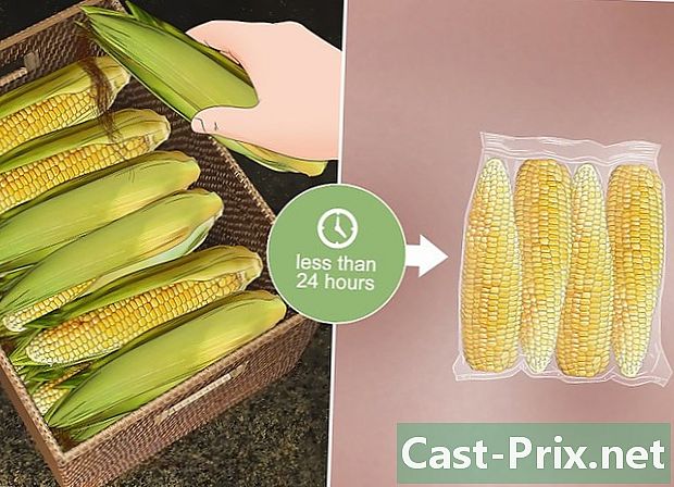 Hoe maïs te oogsten - Gidsen