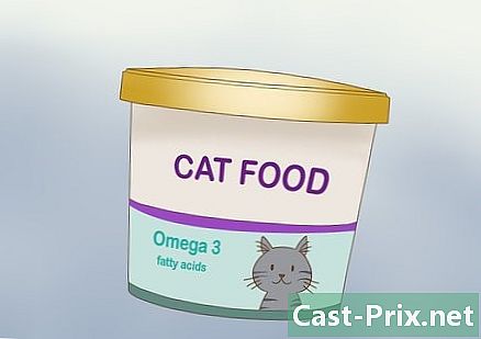 Como reduzir a caspa do seu gato