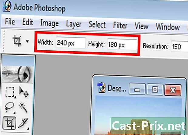Como cortar e redimensionar fotos no Adobe Photoshop 7 ao mesmo tempo