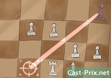 Jak obsadit šachy