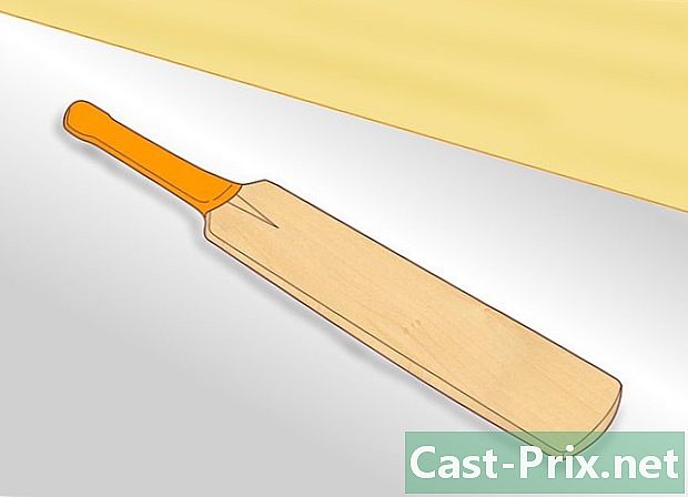 Jak opravit kriketovou pálku