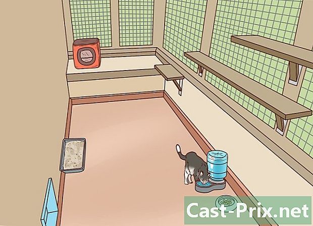 Jak zabezpečit balkon pro kočky