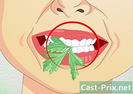 Як позбутися від неприємного запаху з рота