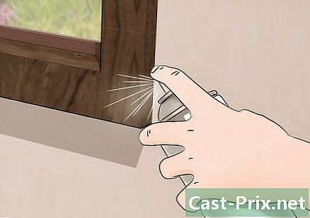 Ako sa zbaviť pavúkov doma - Vodítka