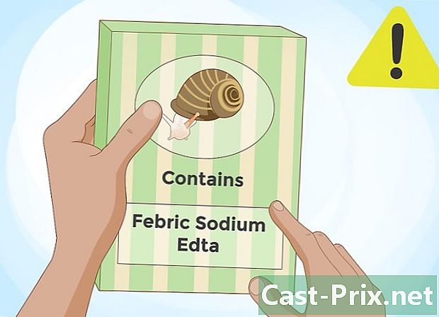 Jak pozbyć się ślimaków - Prowadnice