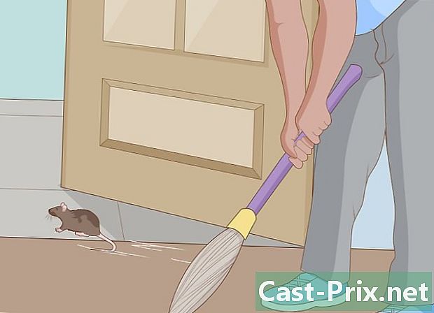 איך להיפטר מעכבר שהתגורר בבית