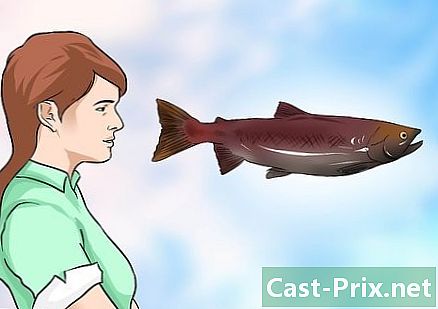 Hur man startar fiskodling