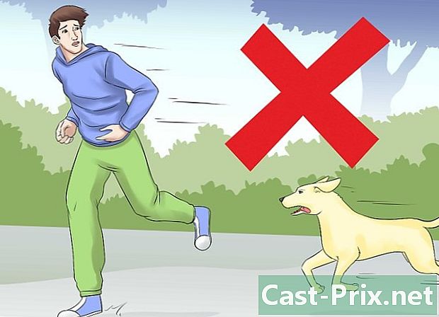 Como se proteger de um ataque de cachorro durante uma caminhada