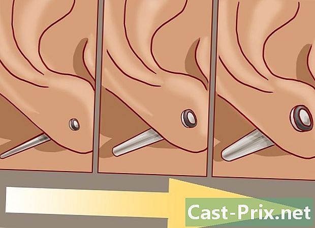 Hvordan båre ørene uten smerter - Guider