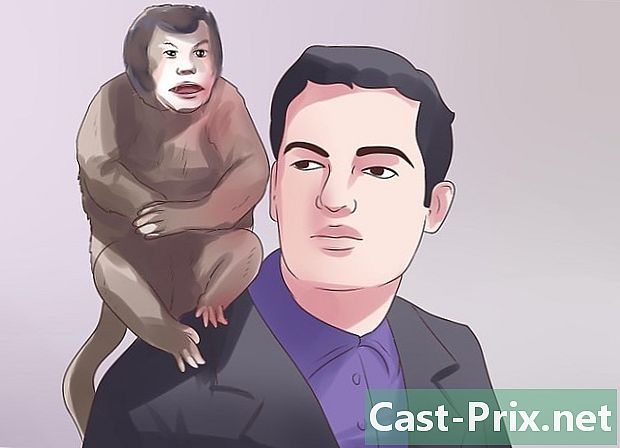 Cách chăm sóc khỉ - HướNg DẫN