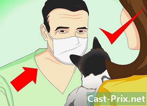 अपनी बिल्ली की सूखी त्वचा को कैसे ठीक करें