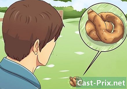 Jak złagodzić dolegliwości żołądkowe swojego psa