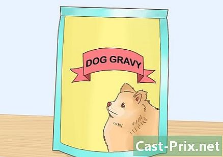 Cum să stimulezi apetitul unui câine - Ghiduri