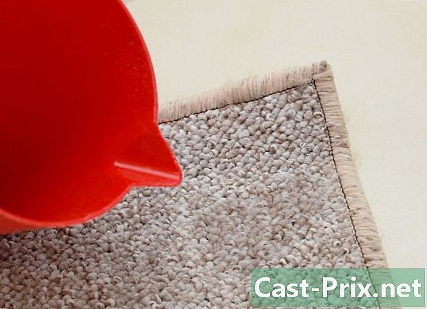 Hoe vlekken van het tapijt te verwijderen