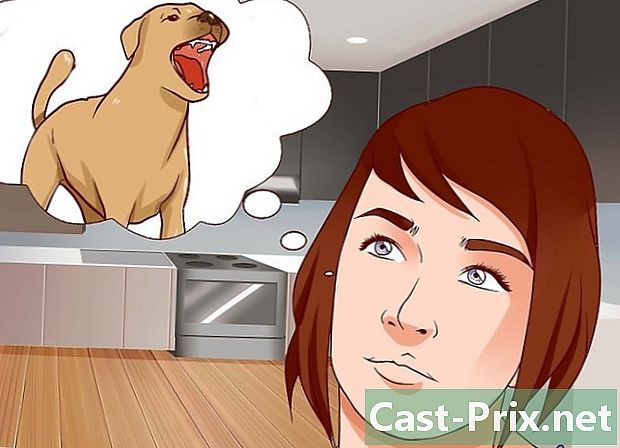 Jak pokonać strach przed psami