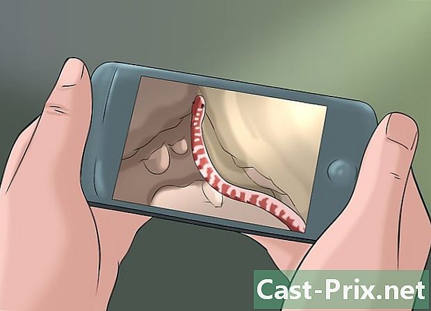 Jak pokonać strach przed wężami