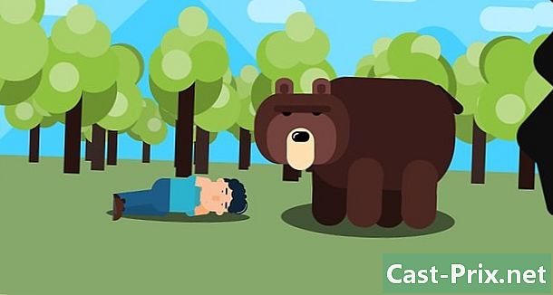 Hur man överlever en björnattack - Guider