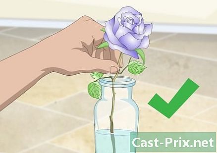 Hogyan kell festeni a rózsa